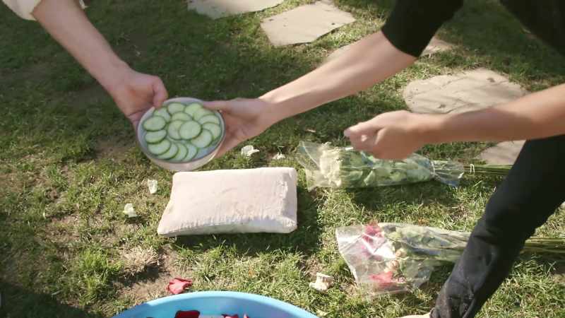All right, should we do some cucumbers?