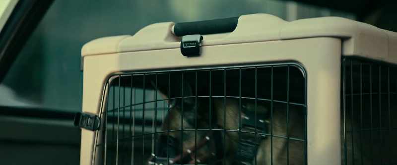 All right. So I gotta take your muzzle off