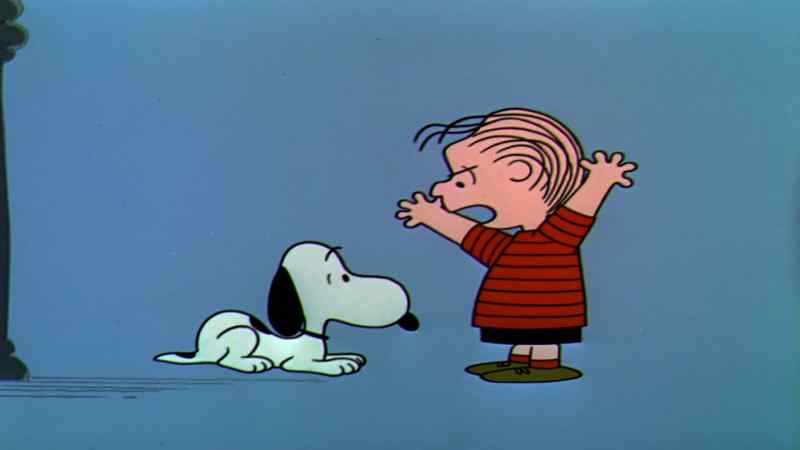 All right you stupid beagle snap to it