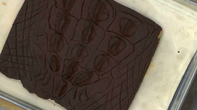 All the alligator texture is still there