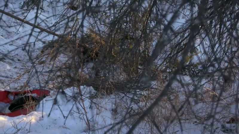All the branches piled up into a little tunnel
