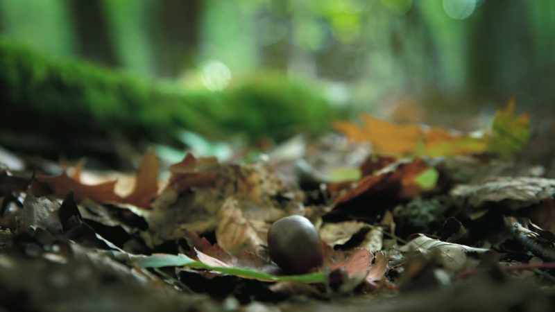 All the ingredients for new life
