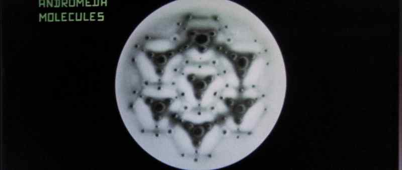All the molecules appear to be the same