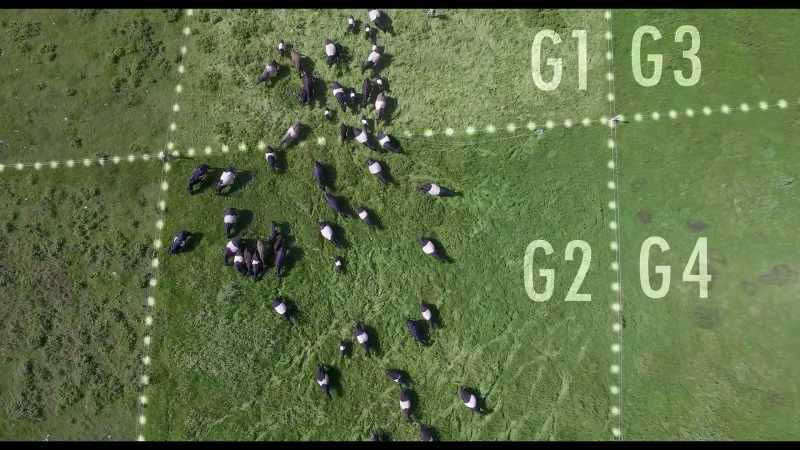 All these paddocks correlate with a map that I have here