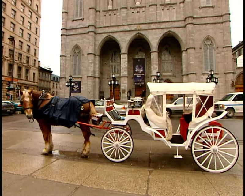 ALL THEY NEED NOW IS A LITTLE HORSEPOWER