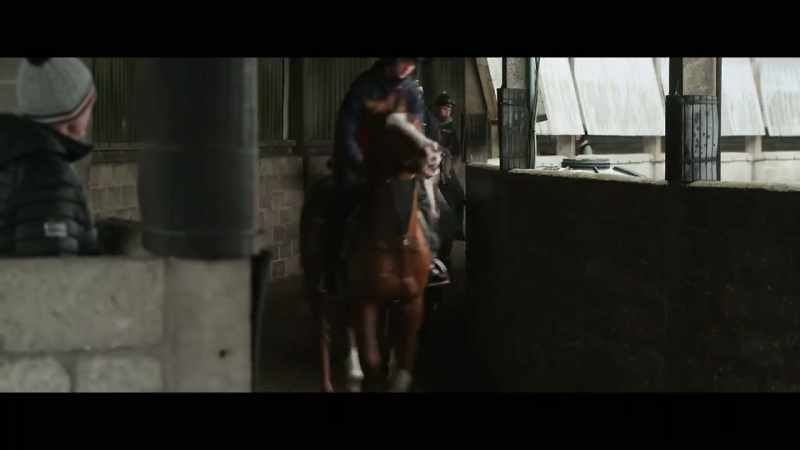 All things going well, we should have some exciting horses