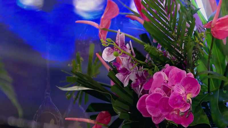 �� ALL THROUGH THE NIGHT >> Announcer: COMING UP