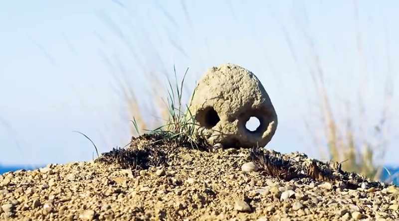 All with similar burial artifacts found with them