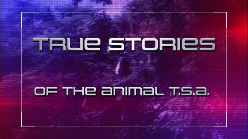 [ Alligator belches ]