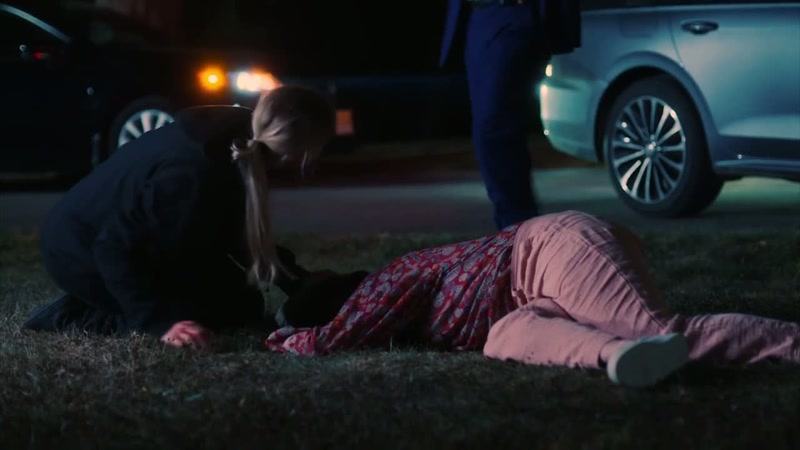 Allison armstrong, you have the right to remain silent