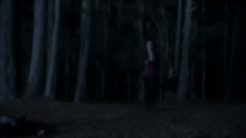 Allison, I can explain