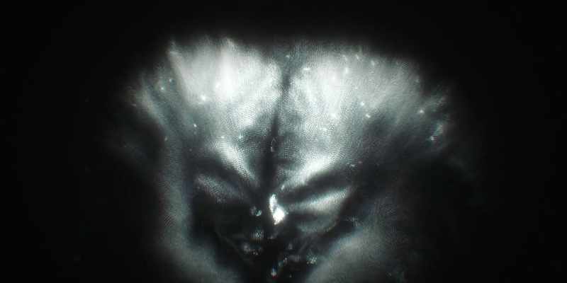 Allowing whales to see one another through sound