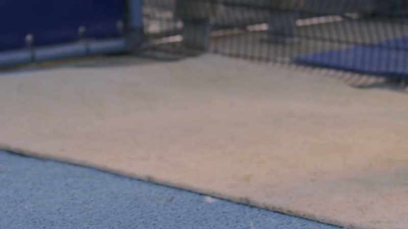 Almost as good as fish?
