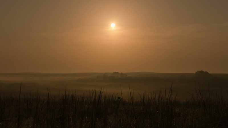 Along the way, they learned their Sun Dance from the Crows