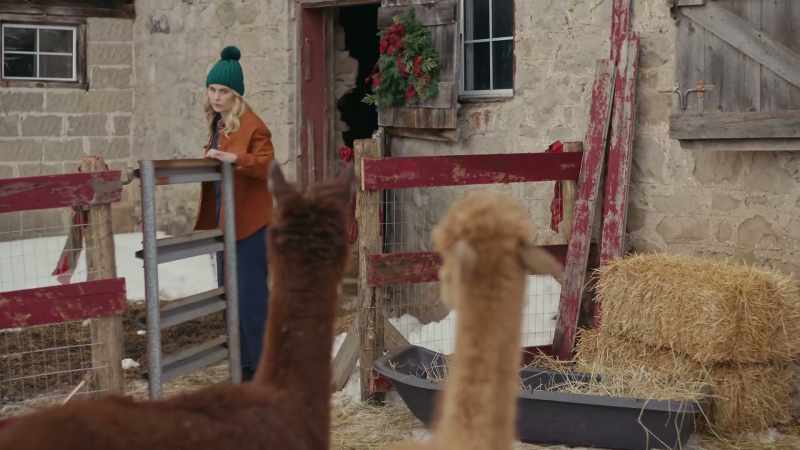 (alpaca hums)
