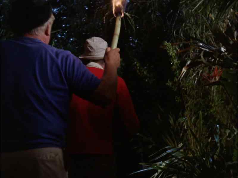 ALRIGHT, GILLIGAN, HERE
