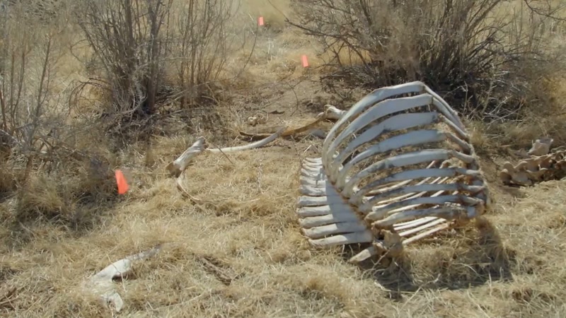 Also in 2020, at Skinwalker Ranch