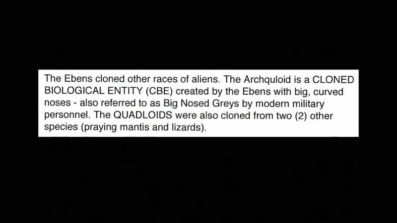 Also referred to as Big Nosed Grays