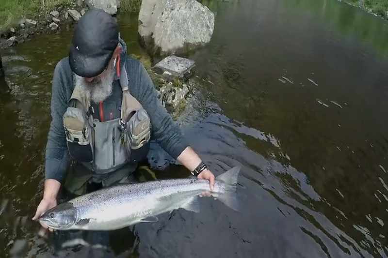 Alta's got the biggest Atlantic salmon in the world