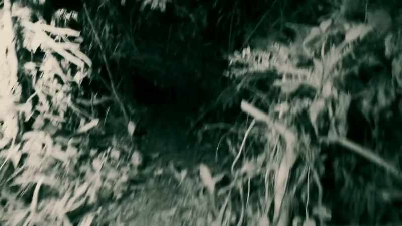 ALTHOUGH MY INFRARED CAMERA CAN SEE THROUGH THE PITCH BLACK