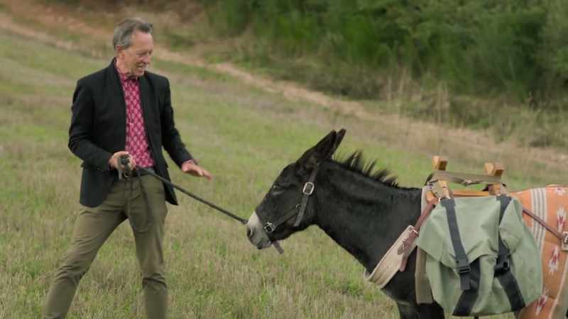 Although, technically, mule is half donkey