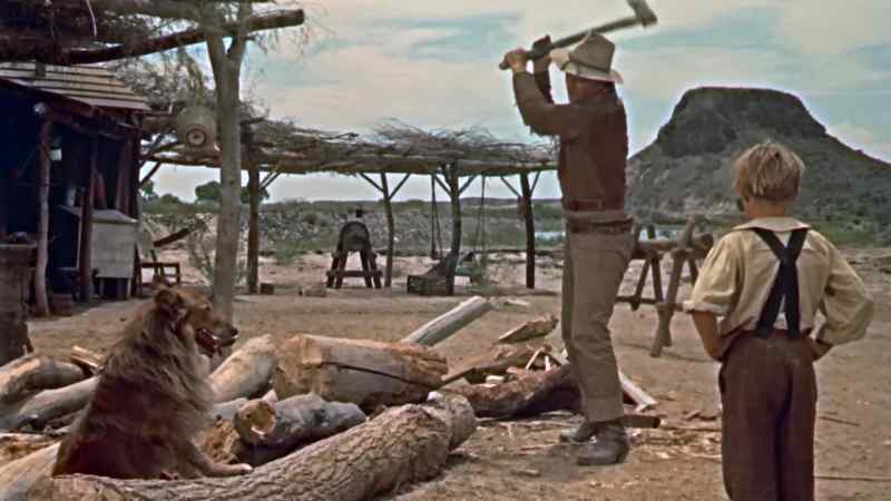 ALWAYS SINK A BLADE INTO A LOG, SON