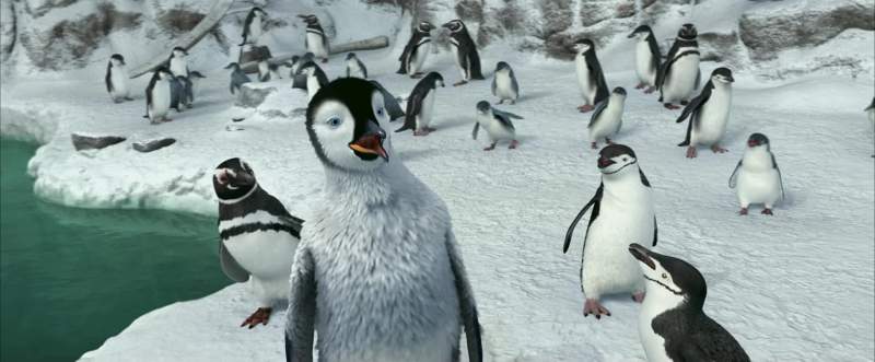 Am I not making myself clear I'm speaking plain penguin