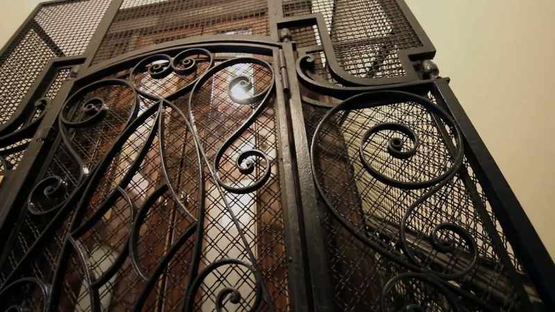 AMANDA FOREMAN: WE TAKE ELEVATORS FOR GRANTED TODAY