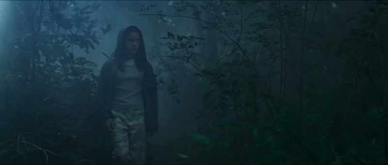 AMAYA: Robin! Robin!