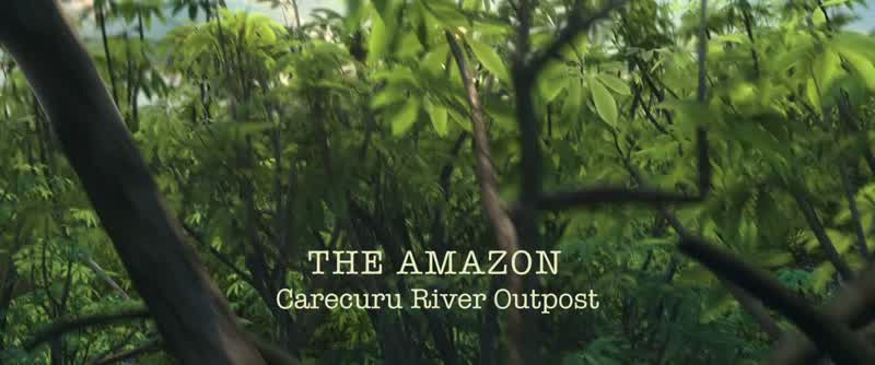 Amazon Expedition, day seven