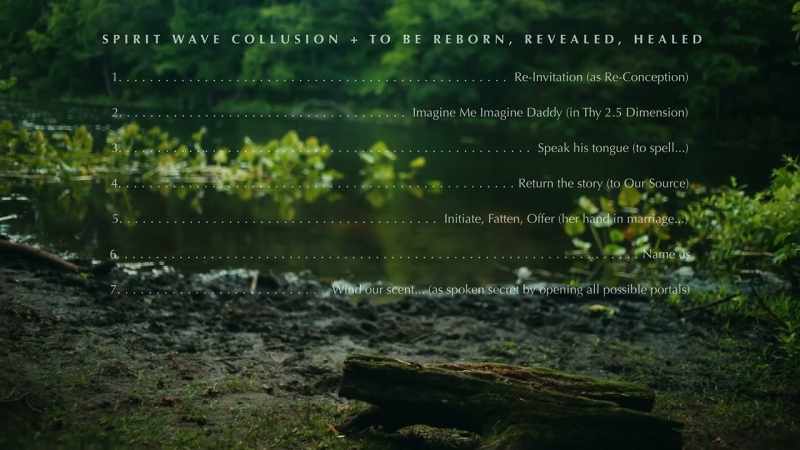 (ambient nature sounds)