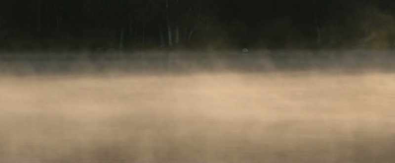 [ambient nature sounds]