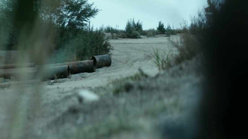 Ambush will initiate