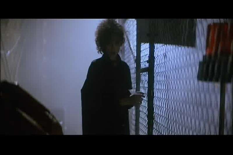 American lnternational Pictures was making this movie