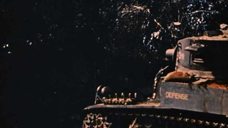 Americans wonder if flamethrowers