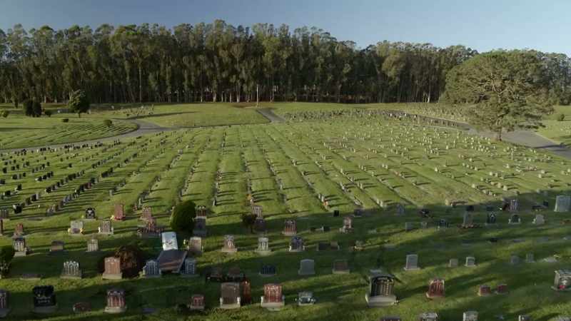 Among its vast acres of internments