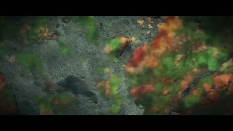 Amongst the bacteria
