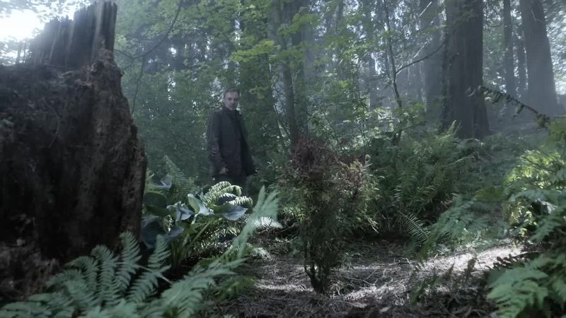 AMY: I left him there