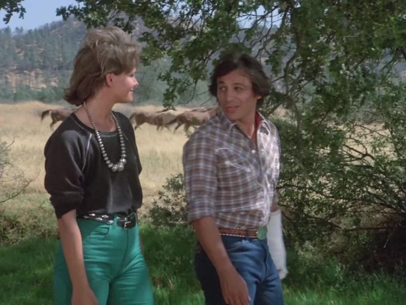 (Amy) Look at them. It's like they know