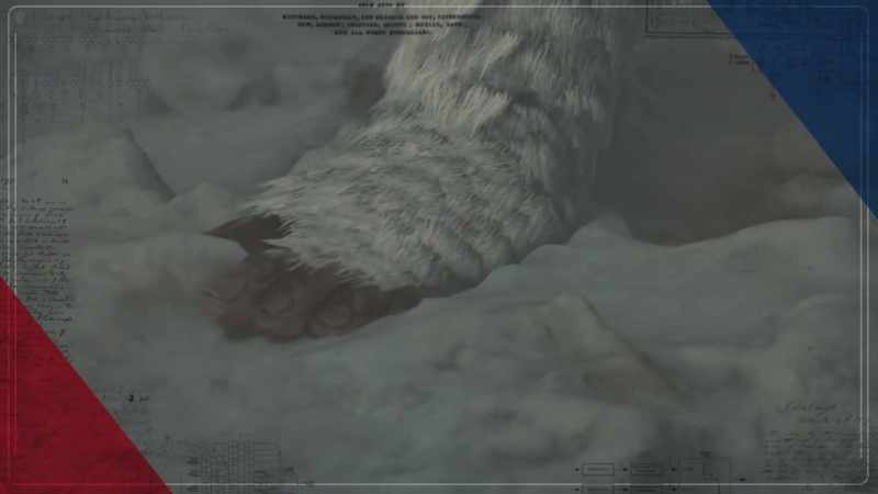 An animal of unknown origin