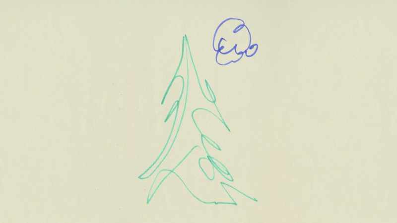An eight-second felt-tip pine