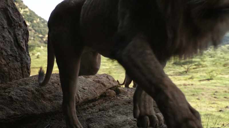 An elephant graveyard is no place for a young prince