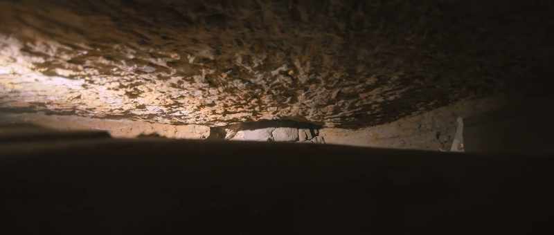 An intact tomb…