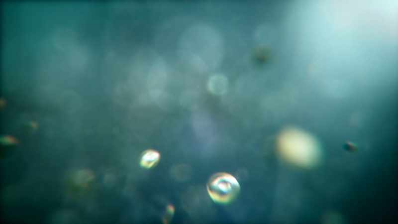 An interconnected web of life