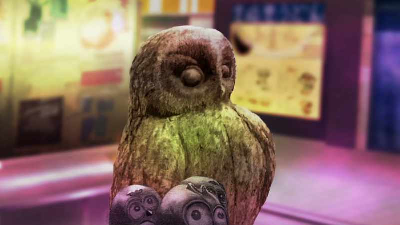 An owl?