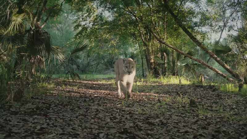 An unimaginable strength in that animal