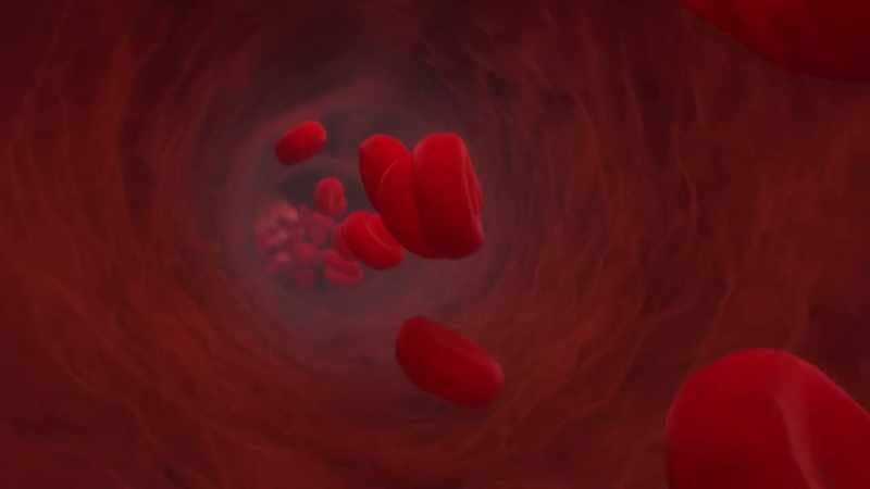 {\an1}And the other part is the cells