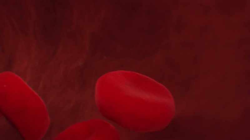 {\an1}Blood is essentially composed of two substances