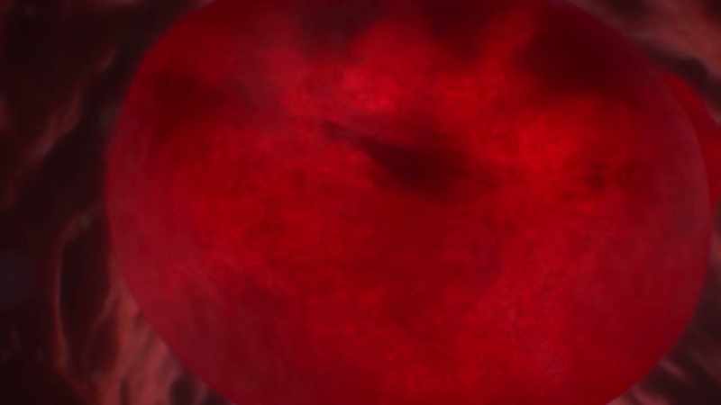 {\an1}Hemoglobin grabs on to the oxygen we breathe in