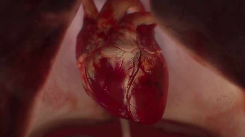 {\an1}-In the same way that adrenaline can damage cardiac cells